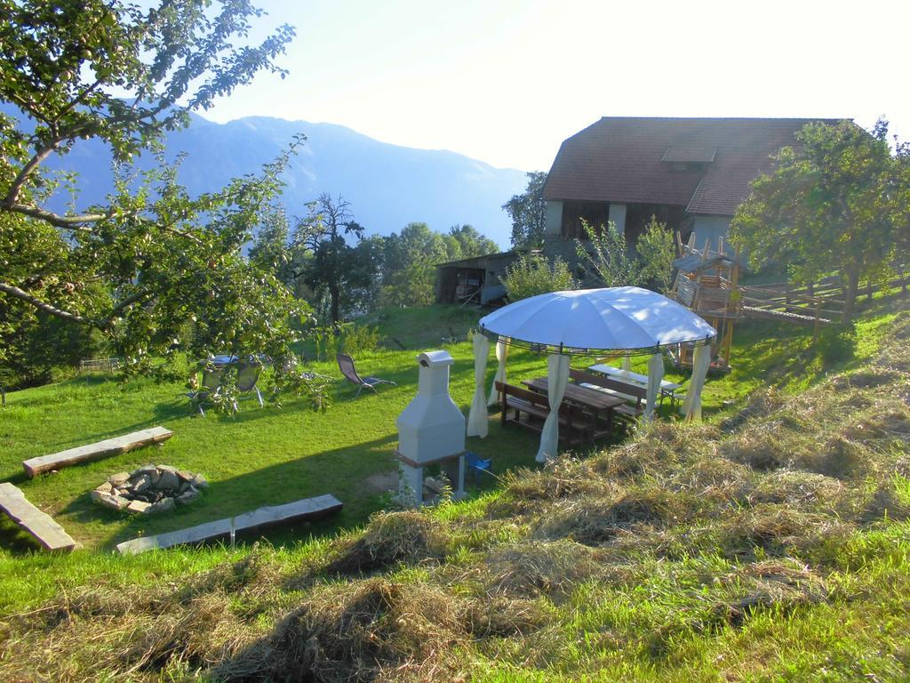 Bergbauernhof Stauder - Hirschbergalpakas Villa Lendorf Exteriör bild